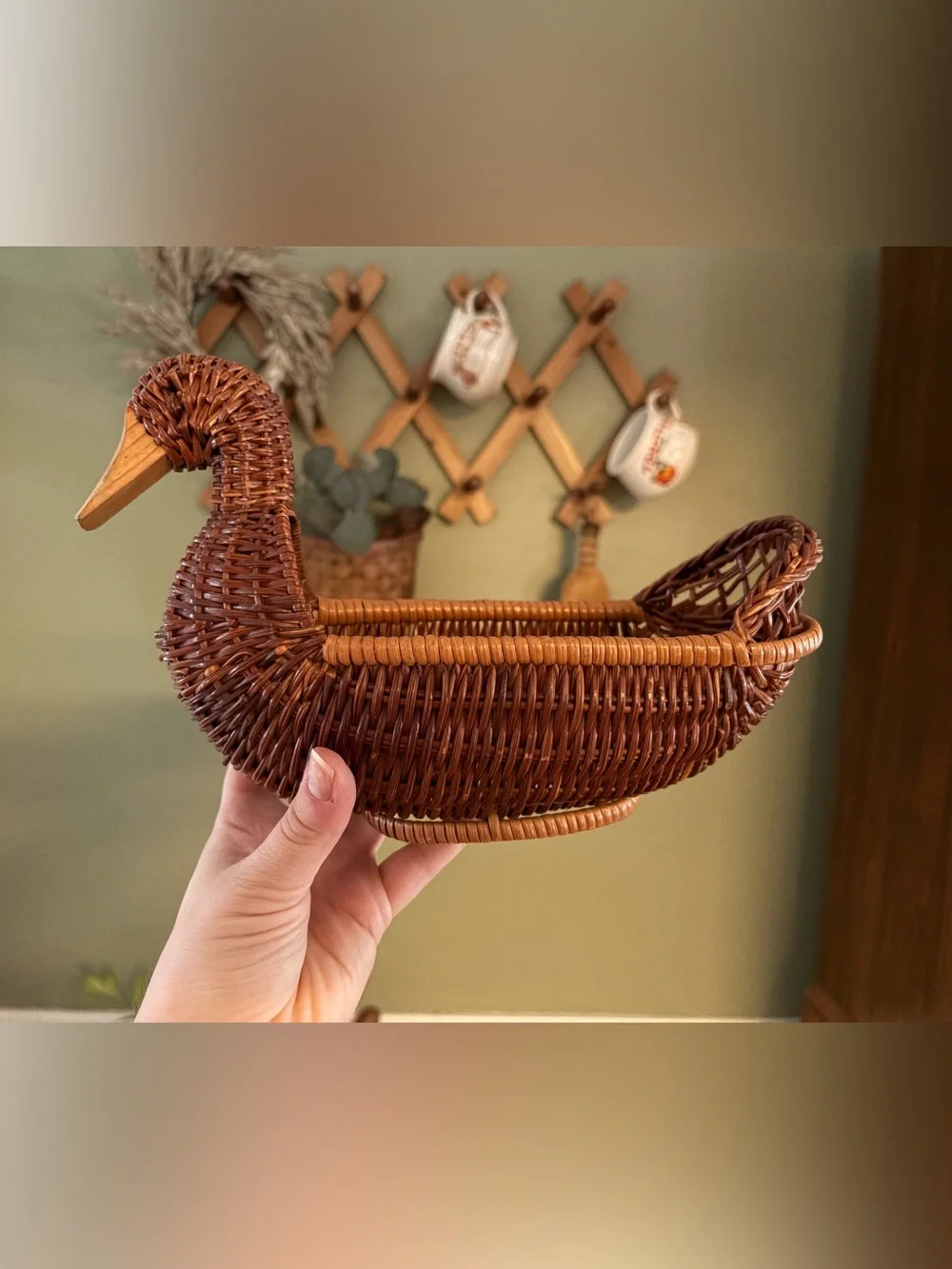 Woven Decorative Duck Basket - Brown